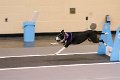 IMG_4411