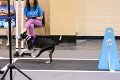 IMG_4416