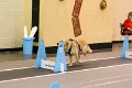 IMG_4417