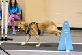 IMG_4431