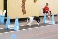 IMG_4433