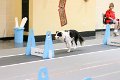 IMG_4434
