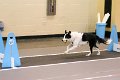 IMG_4438