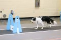 IMG_4439
