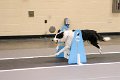 IMG_4441