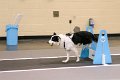 IMG_4442