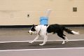 IMG_4444