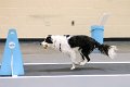 IMG_4445