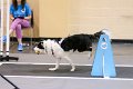 IMG_4448