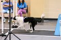 IMG_4449