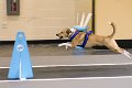 IMG_4633