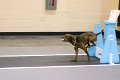 IMG_0809