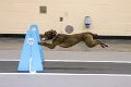 IMG_0811