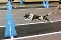 IMG_4656