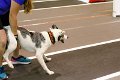 IMG_0830