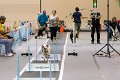IMG_2727