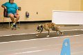 IMG_1351
