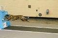 IMG_1358