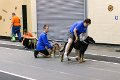 IMG_1385