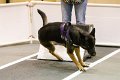 IMG_3069