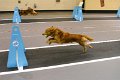 IMG_0915