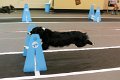 IMG_1902