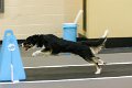 IMG_2979
