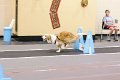 IMG_1953