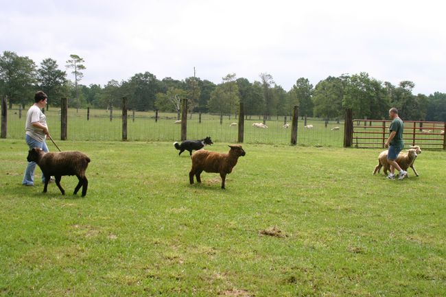 Click to see next picture