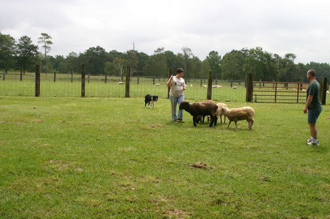 Click to see next picture