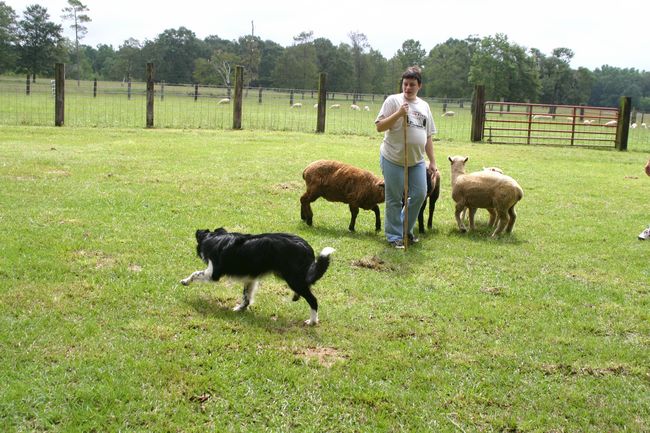 Click to see next picture