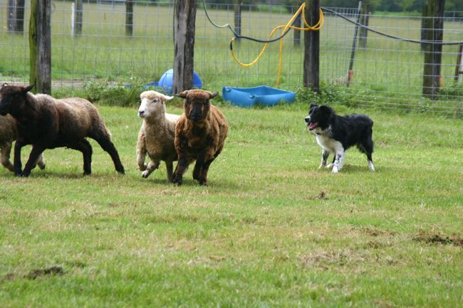 Click to see next picture