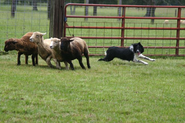 Click to see next picture