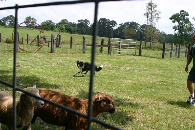 Click to see next picture