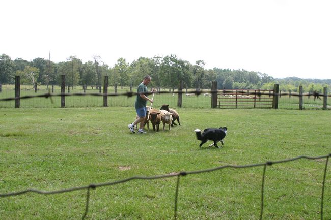 Click to see next picture