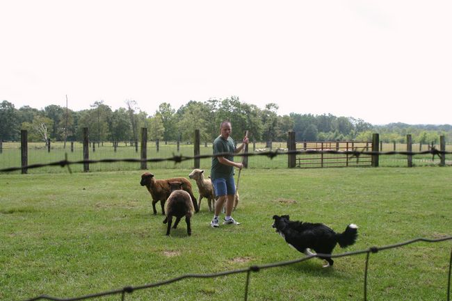 Click to see next picture