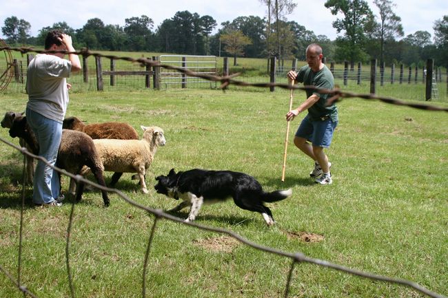 Click to see next picture