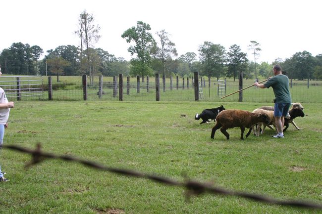 Click to see next picture