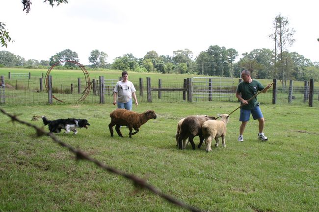 Click to see next picture