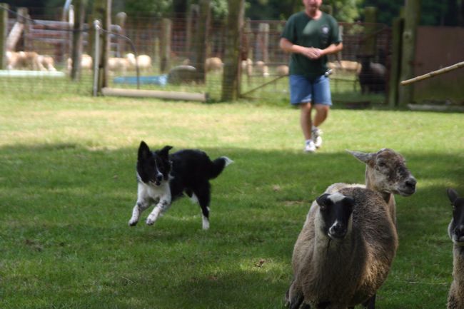 Click to see next picture