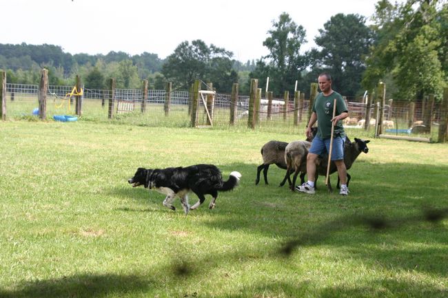 Click to see next picture