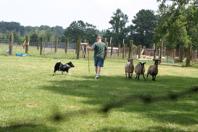 Click to see next picture