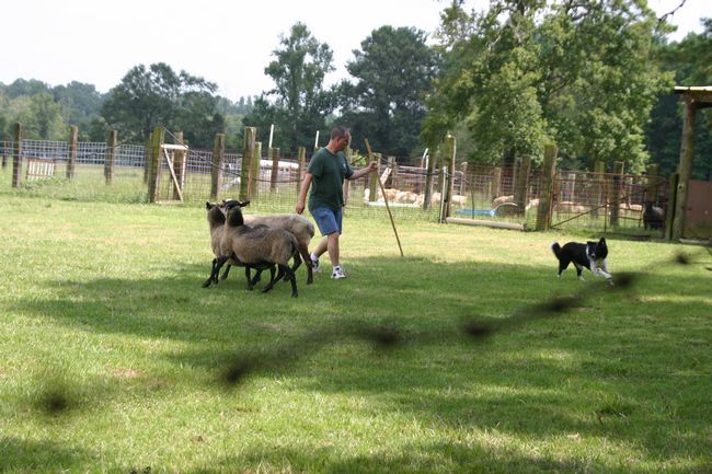 Click to see next picture