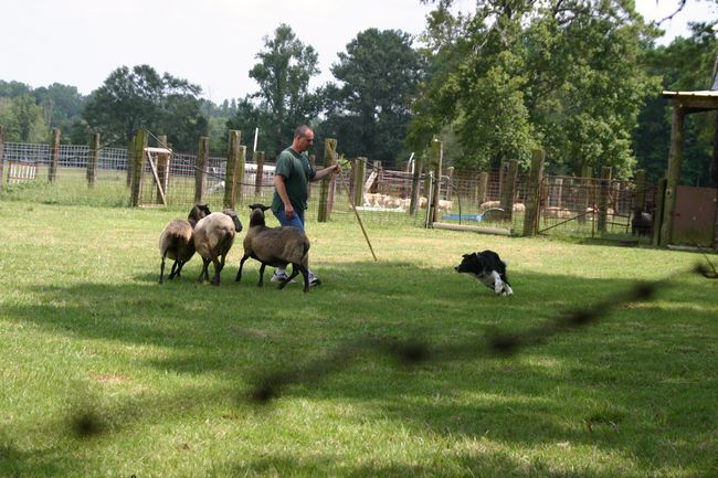 Click to see next picture