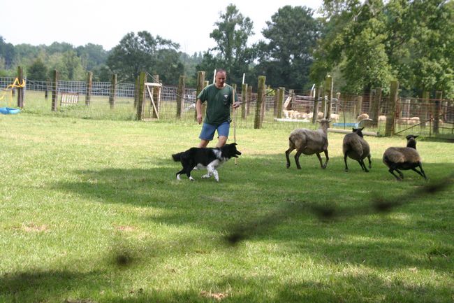 Click to see next picture