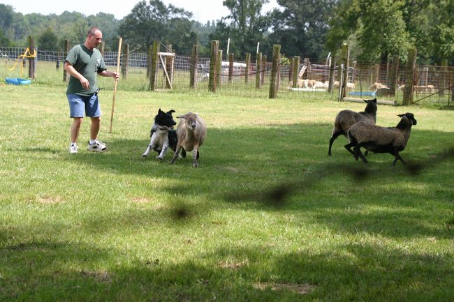 Click to see next picture