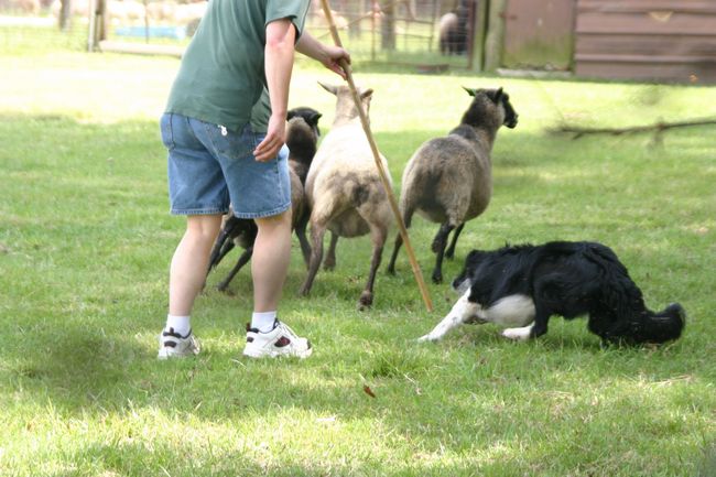 Click to see next picture