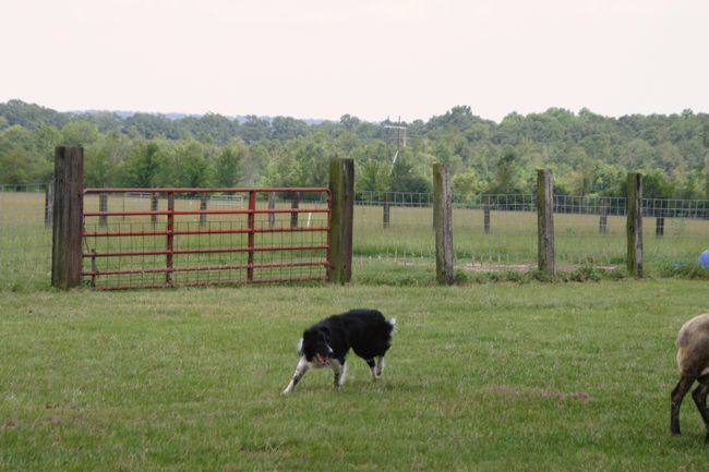 Click to see next picture