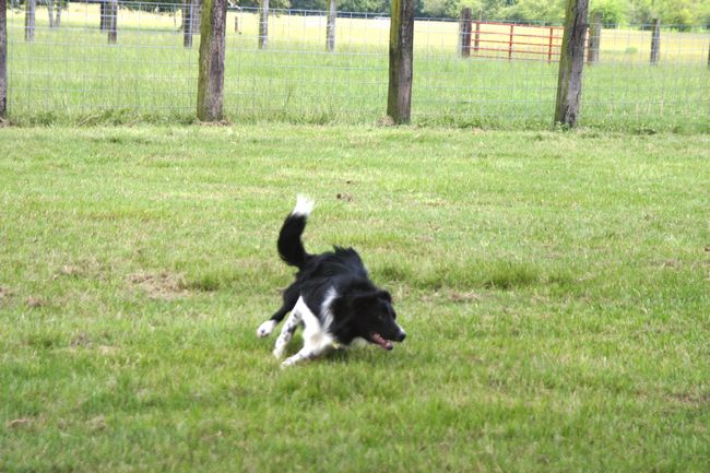 Click to see next picture