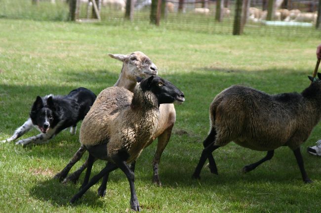 Click to see next picture